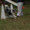 foire-haricots 2011-09-17et18